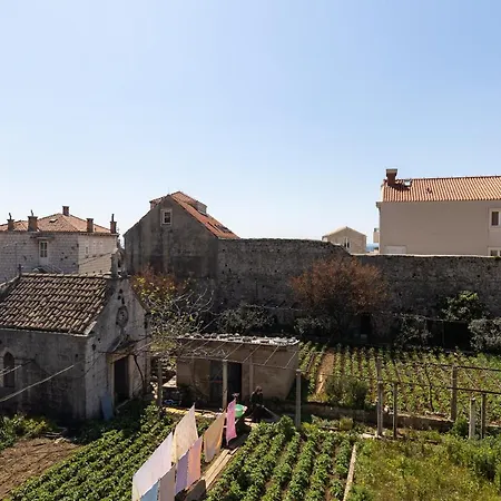 Apartman Sun Volantina *